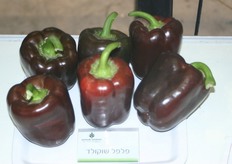 Innovations on the floor