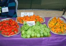 Innovations on the floor