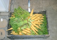 Innovations on the floor