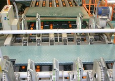 Before the clementines arrive at the labeler. They make a photo of the fruit in order to put the right label.