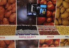 Just some of the potatoes in the Albert Bartlett range.