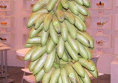 ... green bananas as decor