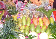 exotic products from Malaysia