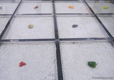 At the Moroccan Pavilion, you can step on it!!!