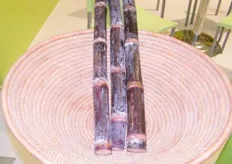sugarcane being exhibited at Ghana´s Pavilion