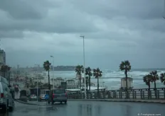 Tel Aviv faces a unique storm during freshAgroMashov