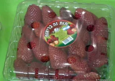 The Barak variety of strawberries, which is developed in 2009.
