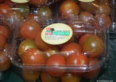 Tomatoes from Palestine Gardens