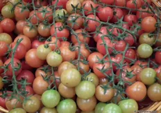 These tomatoes grown in the Negev desert are very sweet.