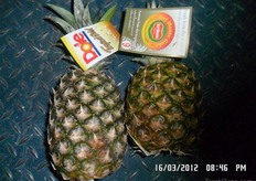 Two brands that compose an important part of the For Gida assortment