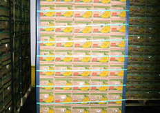 Storing and ripening bananas is a delicate job