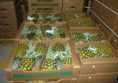 Volumes of pines stored in warehouse