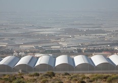 Viewed from the slopes of the Sierra Nevada the plastic of greenhouse cultivation in Almería stretches into the distance. Established over the past 30 years to take advantage of the warm climate and water proffered by the mountains, the horticulture here is, literally, visible from space.