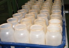 empty bottles, ready for filling