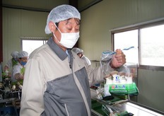 ready for the market