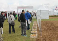 The new varieties from 2009-2012 were demonstrated.