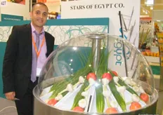 Hamdy Ahmed, General Manager of Stars of Egypt