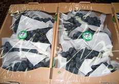 grapes from Gyeongsangbuk-do province, also an industrial center of Korea