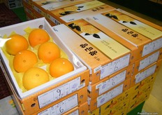 sweet oranges from Korea, beautifully packed