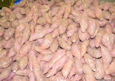 Korean sweet potatoes