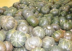 Fresh little pumpkins..