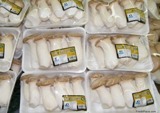 The one and only King oyster mushroom of Korea