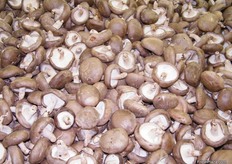 .. and mushrooms again