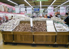 Mushroom stand with different varieties