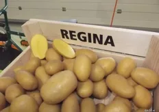 Jan Janse from Europlant says they showed Regina off as their winner. A deep yellow potato with a high yield and supplies good quality under all circumstances. Regina is also used as a solid cooking potato for small packages. This is an example of a variety which can be eaten with peel, but you do need varieties with a good peel for this.