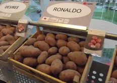 According to Maurice Schehr, Traditional is HZPC’s core business. It’s actually the farmers who sell the spuds to the local market. There are a lot of different varieties in this segment, for instance Ronaldo with a good yield. Bartina is seen as the “Queen of North Africa”, Red Scarlett does well in Eastern Europe and Sylvana is a newer variety with a high resistance.