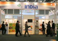 a glance of Indian Pavilion