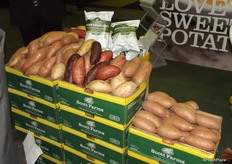 The range of sweet potatoes from Scott farm: Nash a purple skin and flesh variety, Covington - orange flesh, Bonita - white flesh and Carolina Ruby a red variety. Scott Farm's new product Sweet Potato Chips were hot off the press.