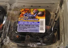 The Mexican fig from Catania. The first company that imports Mexican figs into Canada.