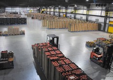 Overview of loading bay