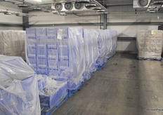 Cooling room for cucumbers