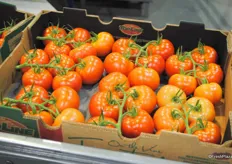 Tomatoes on the vine packed in Topline boxes