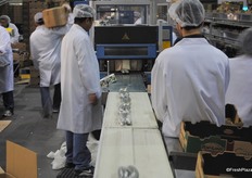 This machine is used to wrap long English cucumbers.