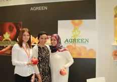 Agreen from Egypt was represented by Salma Khalifa here and Khaled El Banna (though not in this picture)