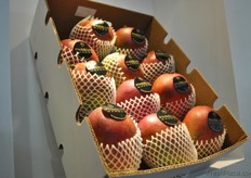 Passion Fresh, year-round supplier of Peruvian fruits and vegetables. They export to America, a big part of Europe and Asia.