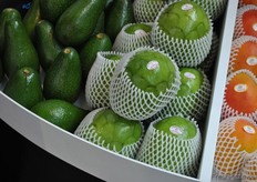 Sobifruits is a commercial & exporter company of fruits and vegetables.