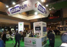 Stand of Agrupapulpi; a stand with a lot of activity.
