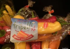 Tribelli XL peppers, developed by Enza Zaden, at Vicasol’s stand.
