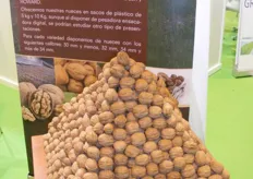 Walnuts exhibited at Frutos de Vettonia’s stand.
