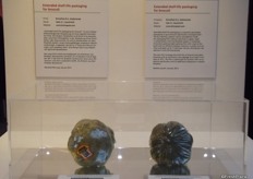 Nominee Fruit Logistica Innovation Award 2014. Extended shelf-life packaging is a packaging to give broccoli significantly increased shelf-life by creating a special natural atmosphere inside the packaging film without chemicals or gases.