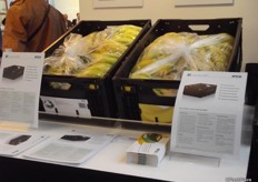 Nominee Fruit Logistica Innovation Award 2014 Reusable plastic container for bananas made of 100% recyclable polypropylene.