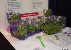 Nominee Fruit Logistica Innovation Award 2014. Home Harvest Salads- Oriental Mixed Living Salad is a mixture of salad leaves available straight from the growing pot to the table. The mixture includes coriander, mustard, tatsoi and pak choi.