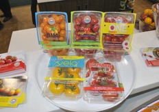 A selection of the best varieties of Sunset: Zima, Angel Sweet, One Sweet, Yelo and Campari