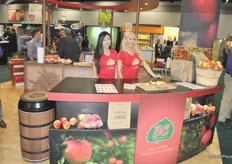 The booth of BC Tree Fruits. They sampled apples and could announce a new variety coming up. The Sailish apple is a bicolor apple a little bit pinkish. It is sweet, high acid, firm apple and a late variety. It is developed through a BC breeding program.