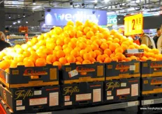 Eliza oranges from Greece, started their export activites to different Arab countries and now, products are being offered to Central European countries too.