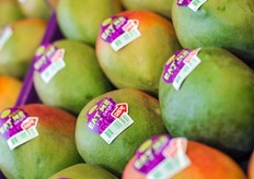 Ready to eat Mangoes. Mangoes are one of the pillars of the company.